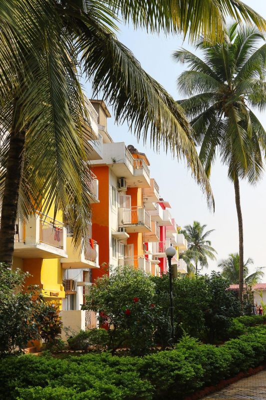 Village Royale 2* миниатюра 6