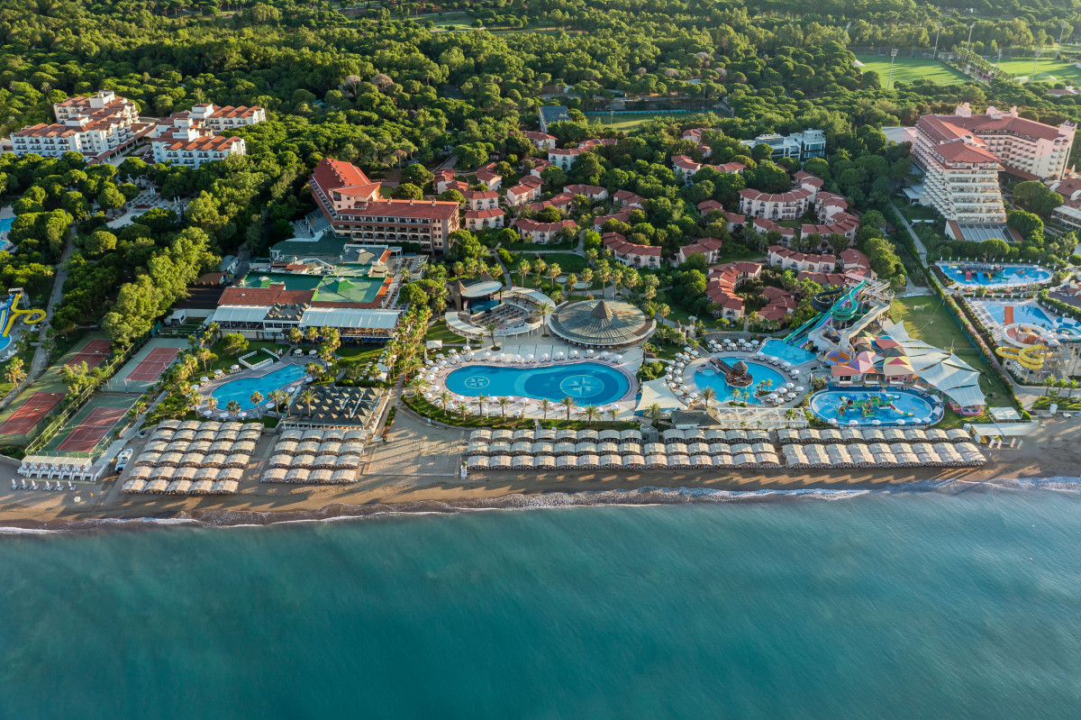 Papillon Belvil 5* миниатюра 2