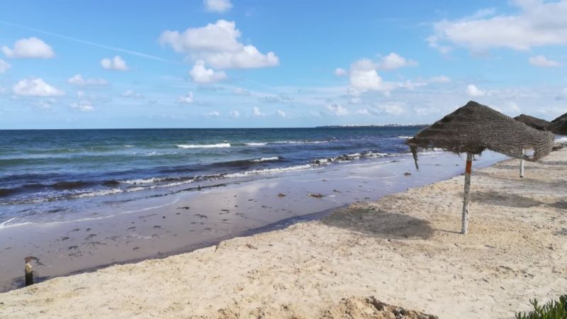 My Hotel Garden Beach Club (Ex. Dessole Garden Beach Club) 3* миниатюра 6