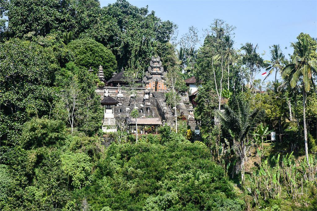 Hanging Gardens Of Bali 5* миниатюра 3