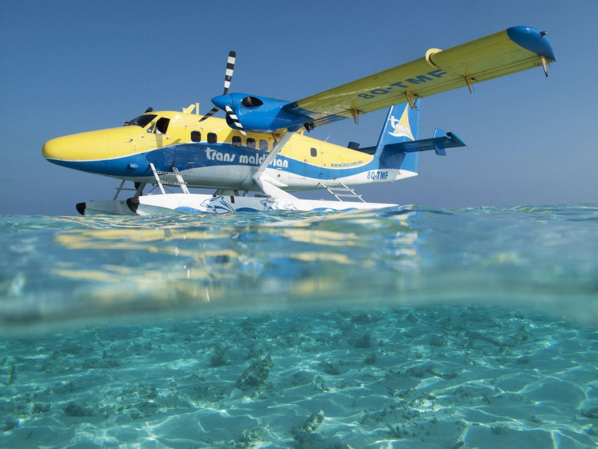 Vilamendhoo Island Resort 4* миниатюра 6