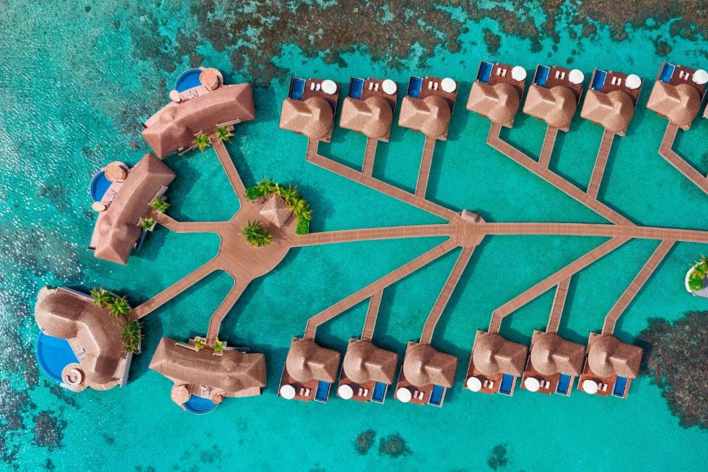 W Maldives 5* миниатюра 4