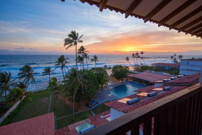 Citrus Hikkaduwa (Ex. Amaya Reef) 3* миниатюра 6