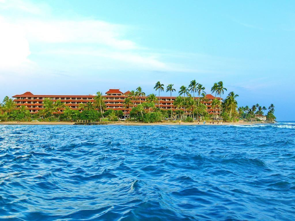 Hikka Tranz By Cinnamon 4*