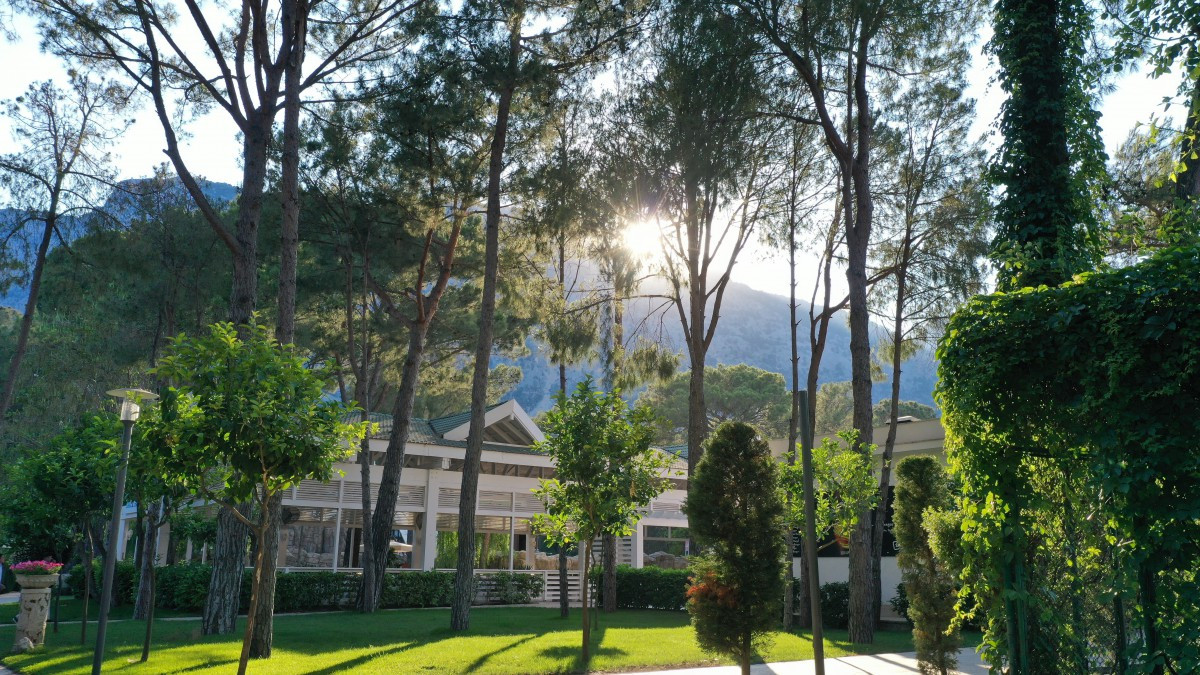 Nirvana Mediterranean Excellence 5* миниатюра 5