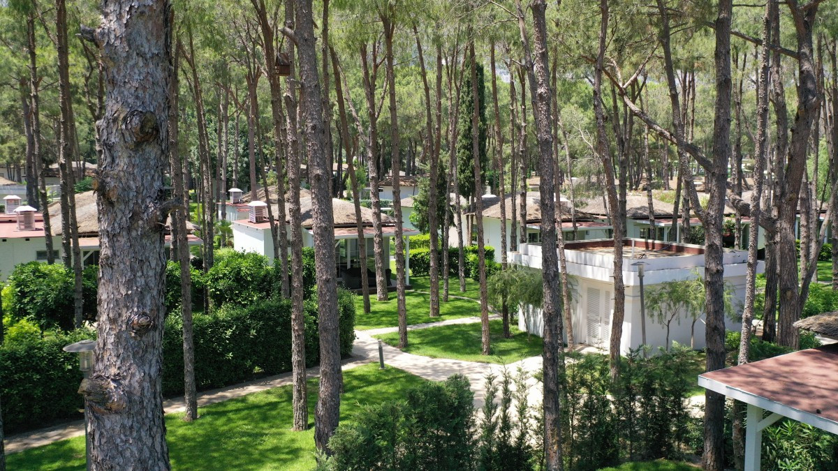 Nirvana Mediterranean Excellence 5* миниатюра 6