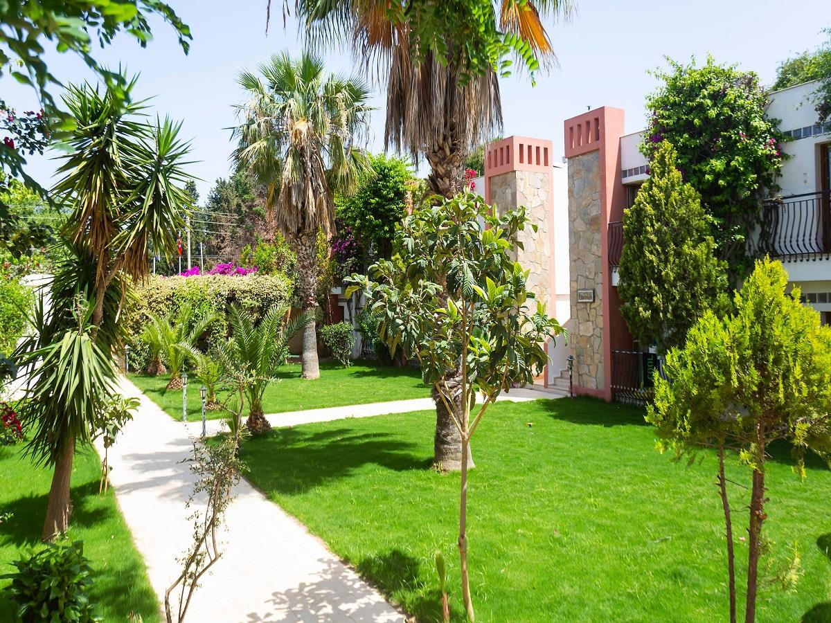 Kriss 3* миниатюра 5