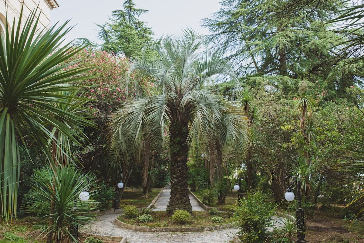 Amra Park Hotel & Spa 4* миниатюра 6