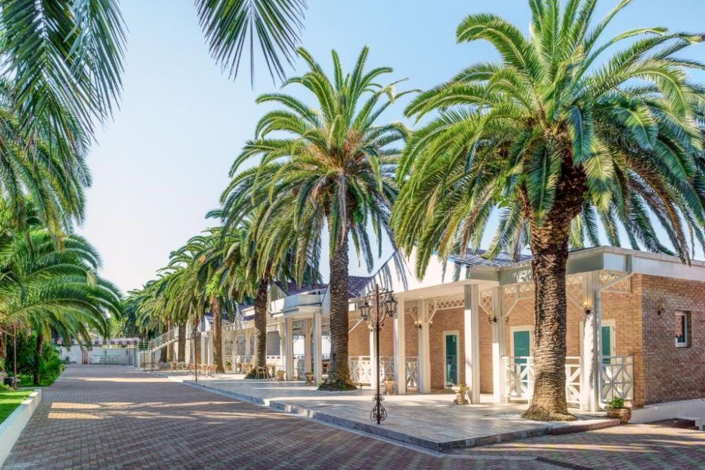 Дом Отдыха Имени Челюскинцев 4* миниатюра 4