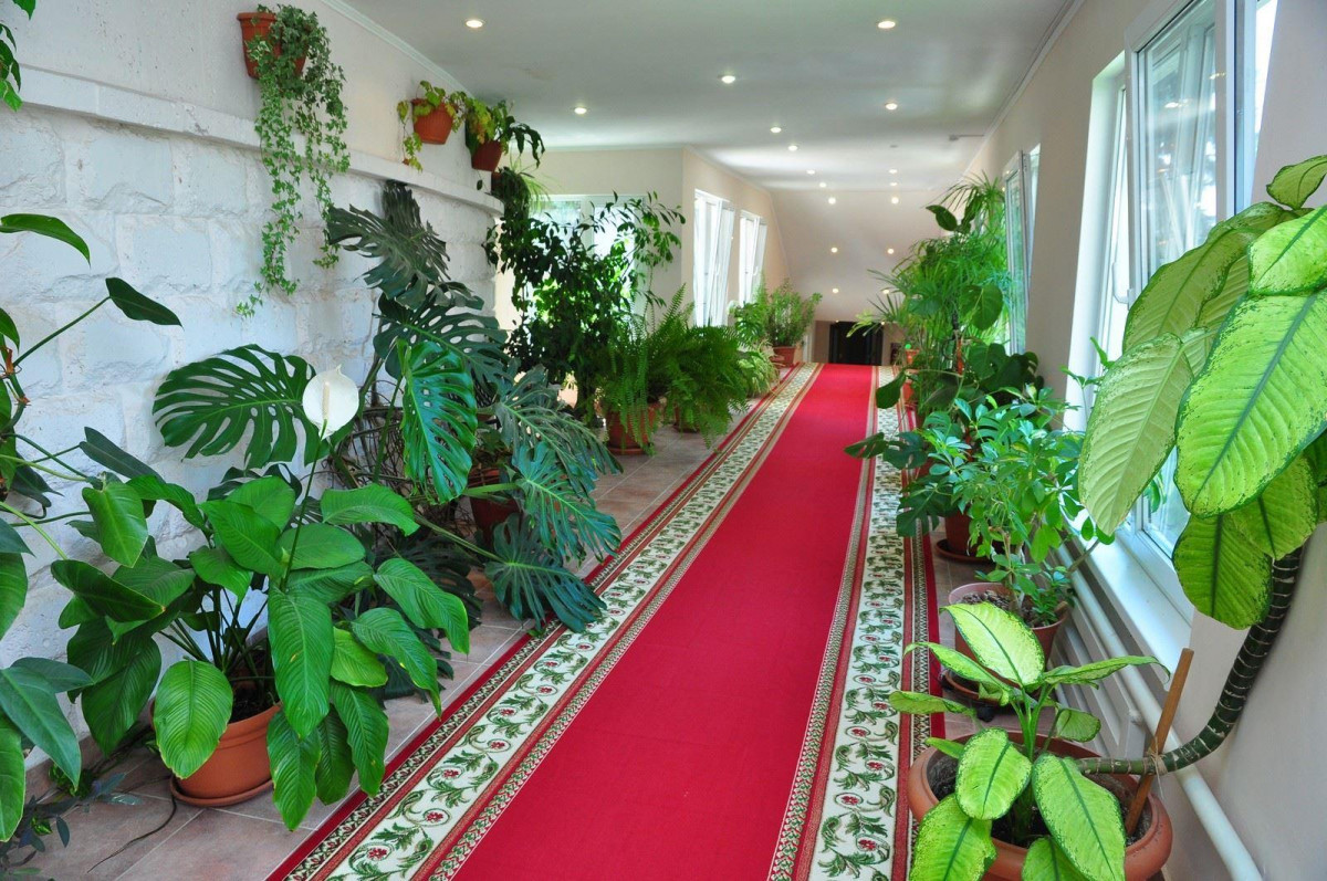 Санаторий Им. М.ю. Лермонтова 2* миниатюра 6