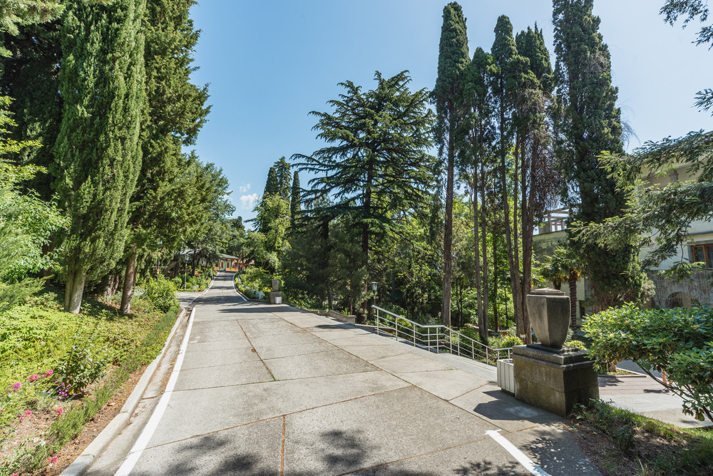 Нижняя Ореанда 4* миниатюра 4