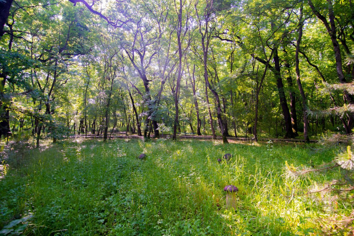 Долина Нарзанов (Бывш. Восход) Железноводск 2* миниатюра 5