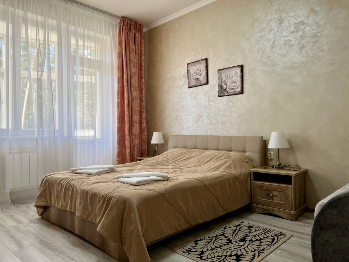 Ружанский 4* миниатюра 3