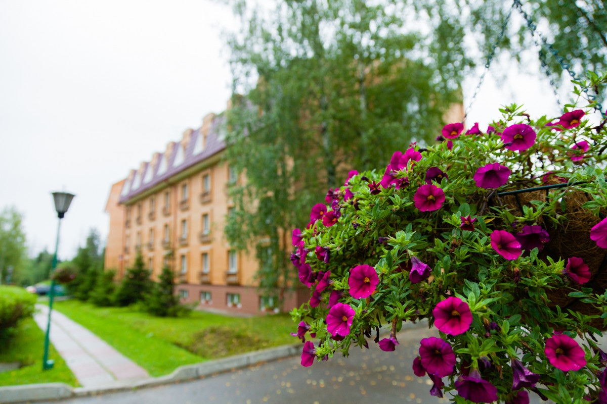 Виктория Санаторий Подмосковье 3* миниатюра 6