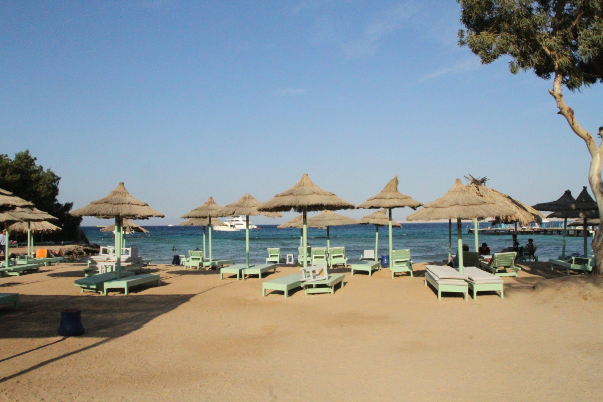 Dexon Roma Hotel (Ex. Roma Host Way) 3* миниатюра 6