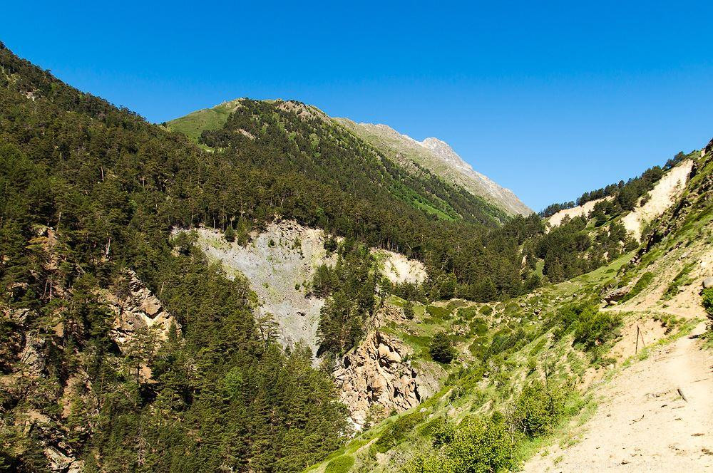 Альпина 2* миниатюра 3