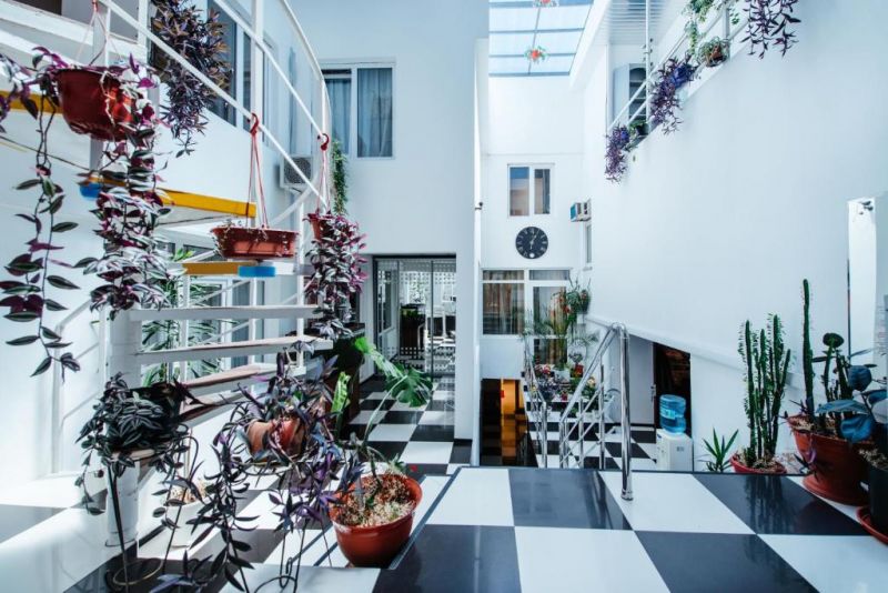 Лилона 1* миниатюра 3