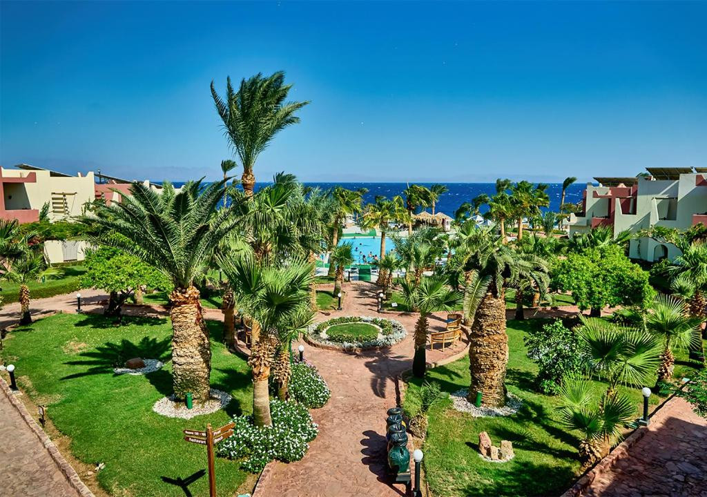 Tropitel Dahab Oasis 4* миниатюра 3