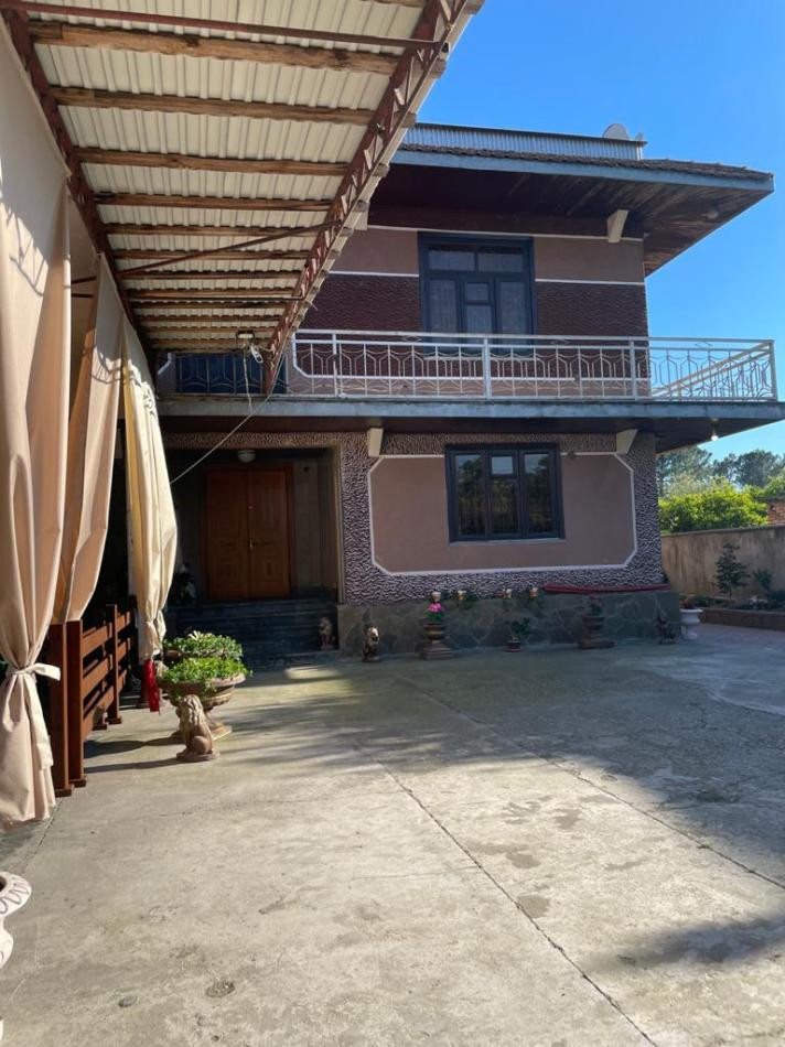 Элина 2* миниатюра 5