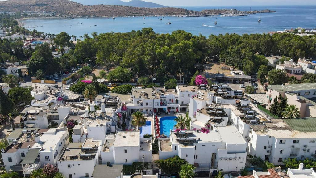 Serhan Adults Only 16+ 3* миниатюра 6