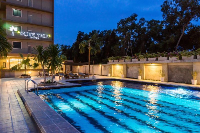 Olive Tree 3* миниатюра 4