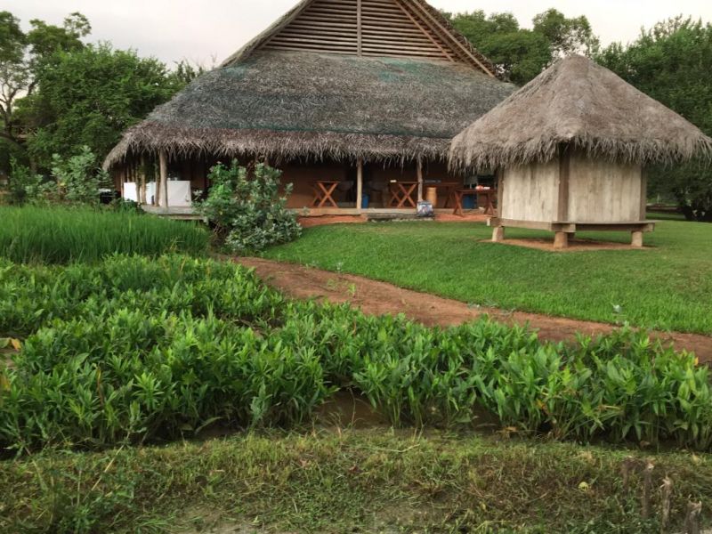 Aliya Resort & Spa 5*