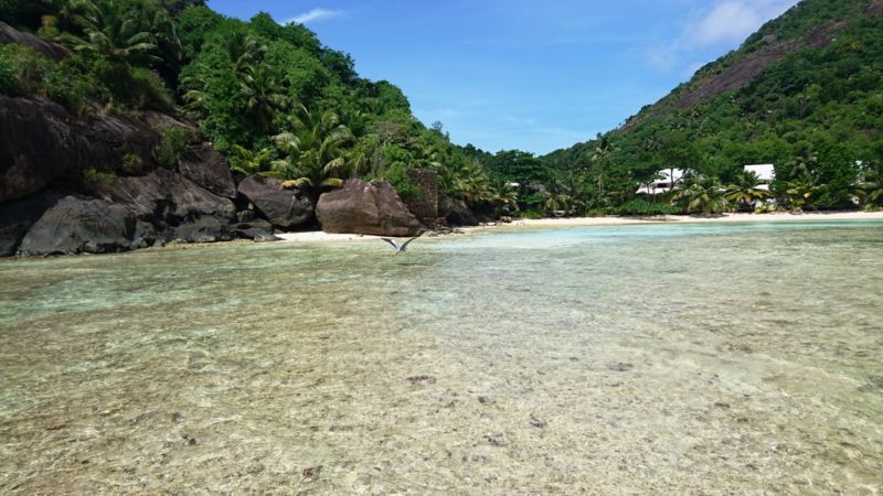 La Belle Tortue Lodge 4* миниатюра 3