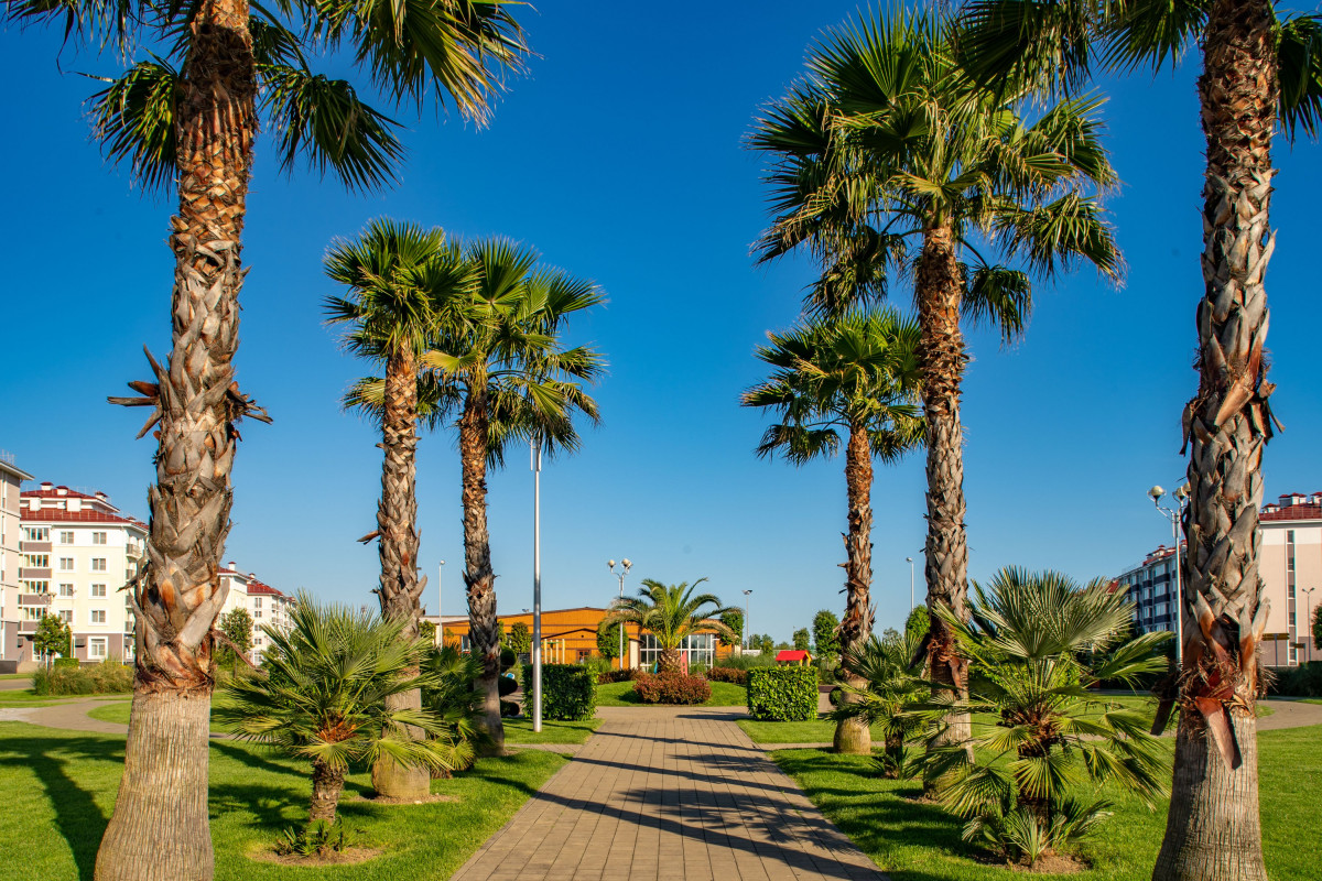 Спортивный Квартал Бархатные Сезоны 3* миниатюра 5