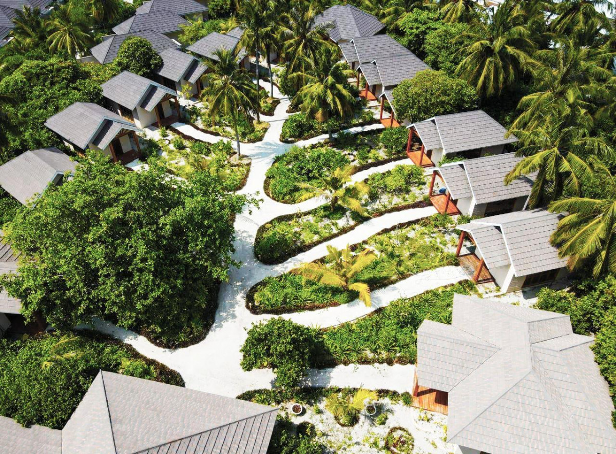 Brennia Kottefaru 5* миниатюра 6