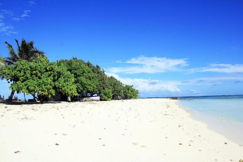 Tropic Tree Maldives 3* миниатюра 6