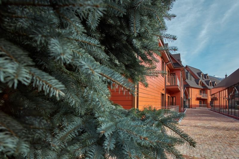 Red Wood Hotel By Provence (Ex. Grand Way Haveli) 3* миниатюра 4