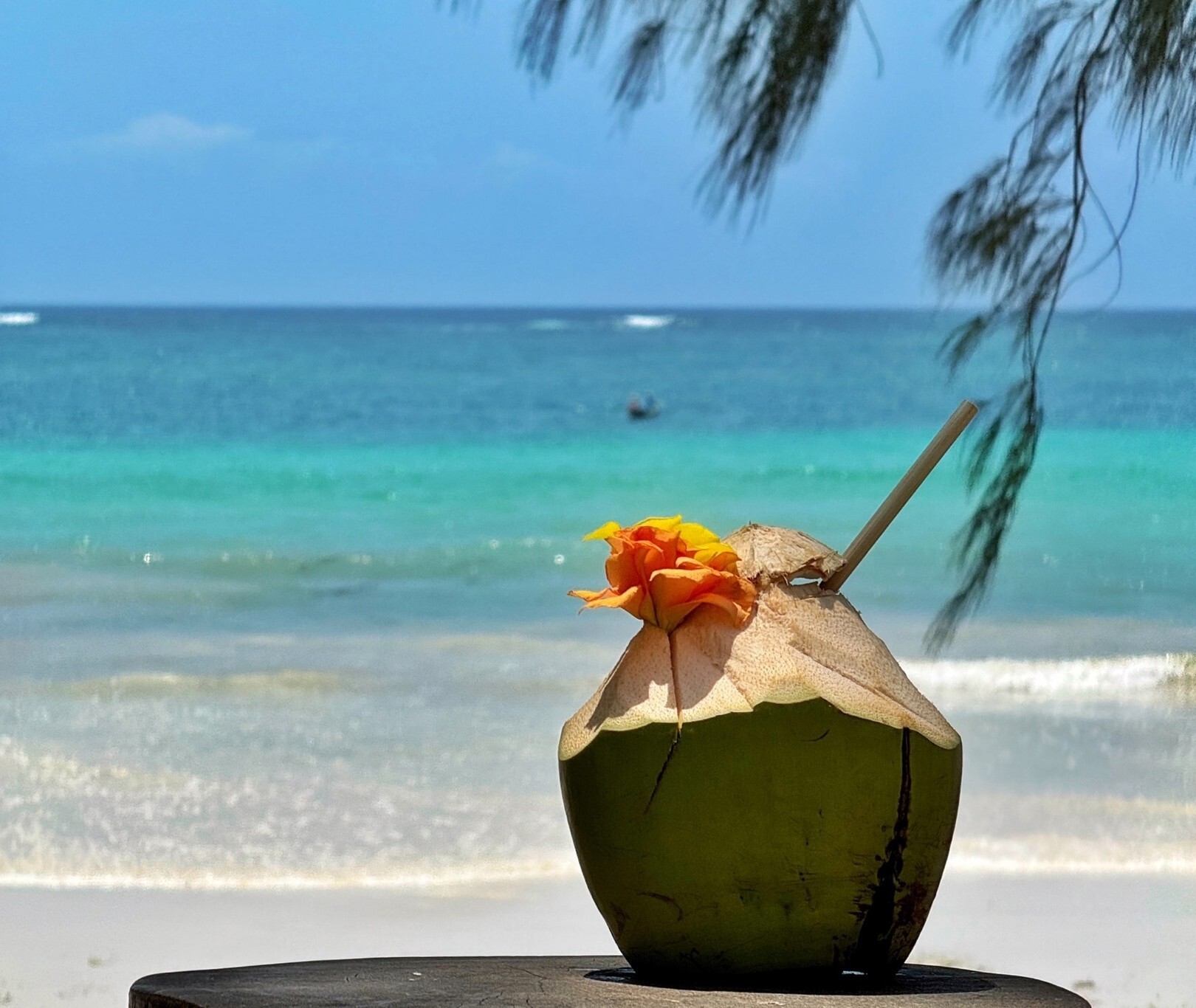 Тур на Шри-Ланку. Шри-Ланка: райский отдых из Москвы по цене завтраков! - Шри-Ланка - 05.01.2026 - 30.04.2026