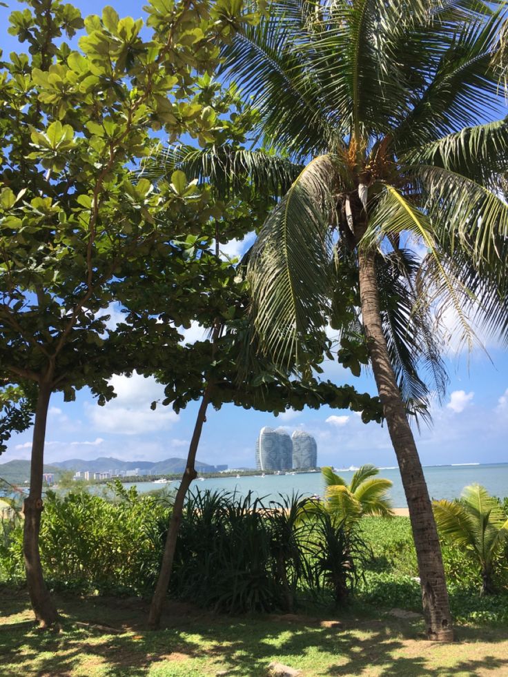 Тур в Китай. Весенний рай на Хайнане -33% - Китай - 01.03.2026 - 31.03.2026