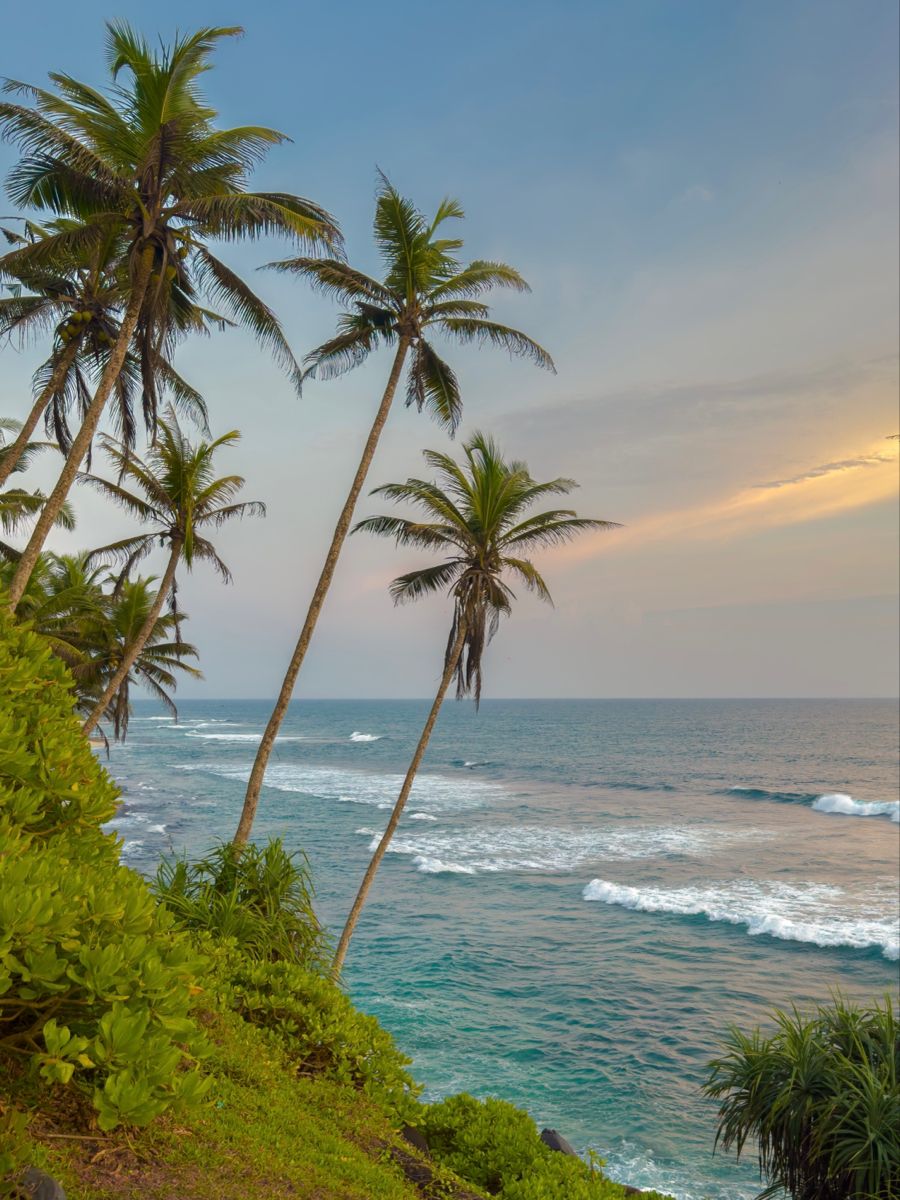 Тур на Шри-Ланку. Зимний рай на Шри-Ланке: Вылет из Москвы и Калининграда! - Шри-Ланка - 01.01.2026 - 31.01.2026