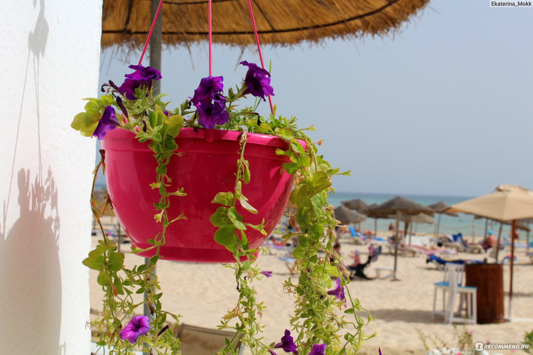 Тур в Тунис. ВЕСЕННИЙ ТУНИС: СКИДКА 40% ИЗ СПБ, КАЛИНГРАДА И МОСКВЫ! - Тунис - 01.05.2026 - 31.05.2026