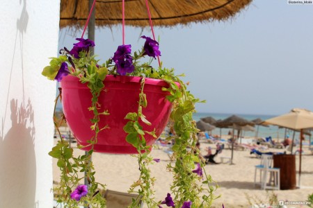 ВЕСЕННИЙ ТУНИС: СКИДКА 40% ИЗ СПБ, КАЛИНГРАДА И МОСКВЫ! - Тунис