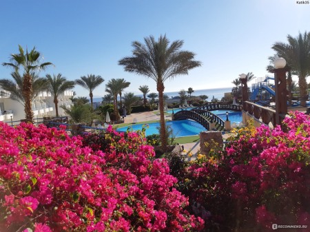 Весенний Шарм из Москвы: -42%! - Египет