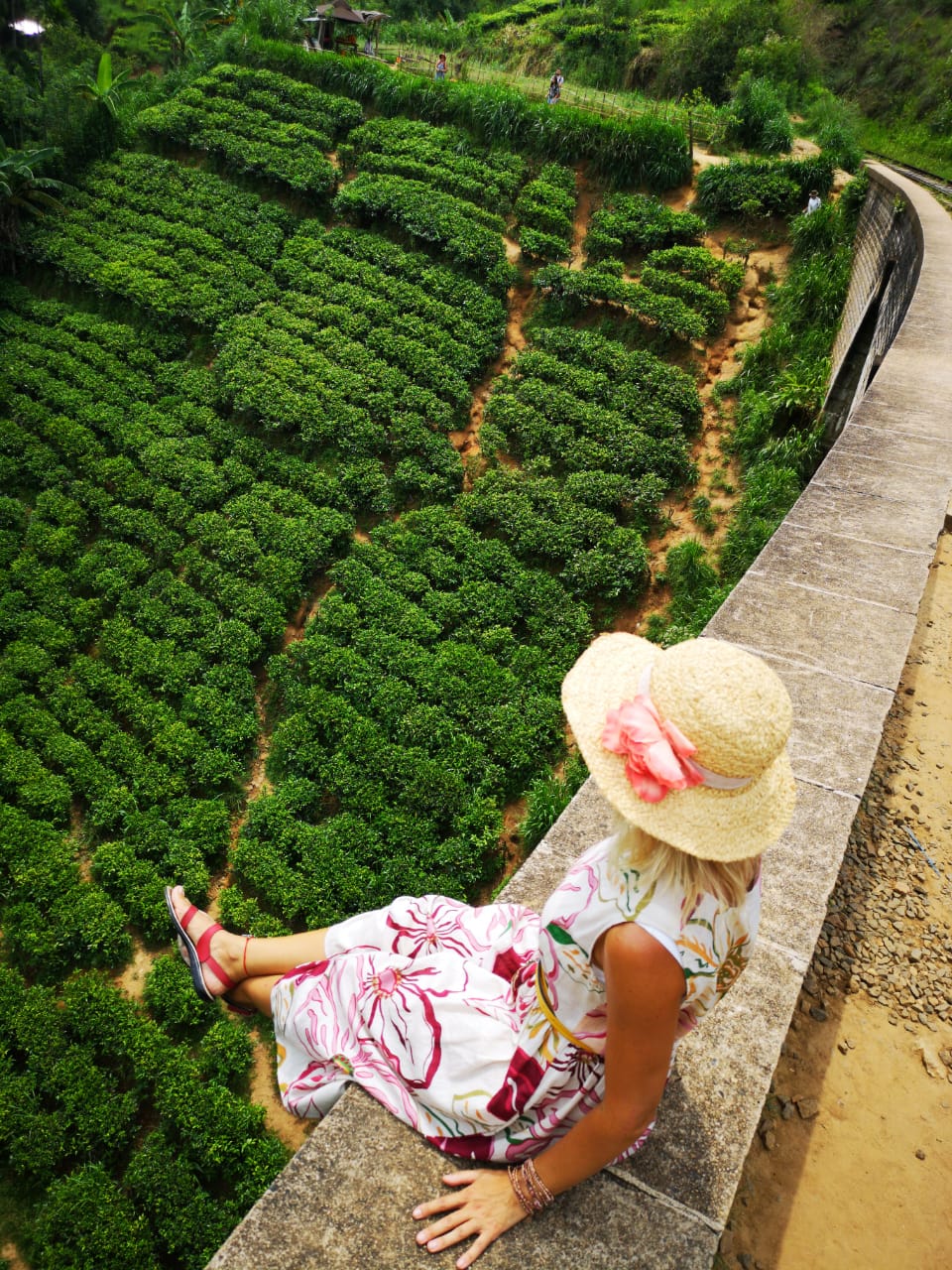 Тур на Шри-Ланку. Шри-Ланка: апрель–май из Москвы через Калининград - Шри-Ланка - 01.04.2026 - 09.05.2026