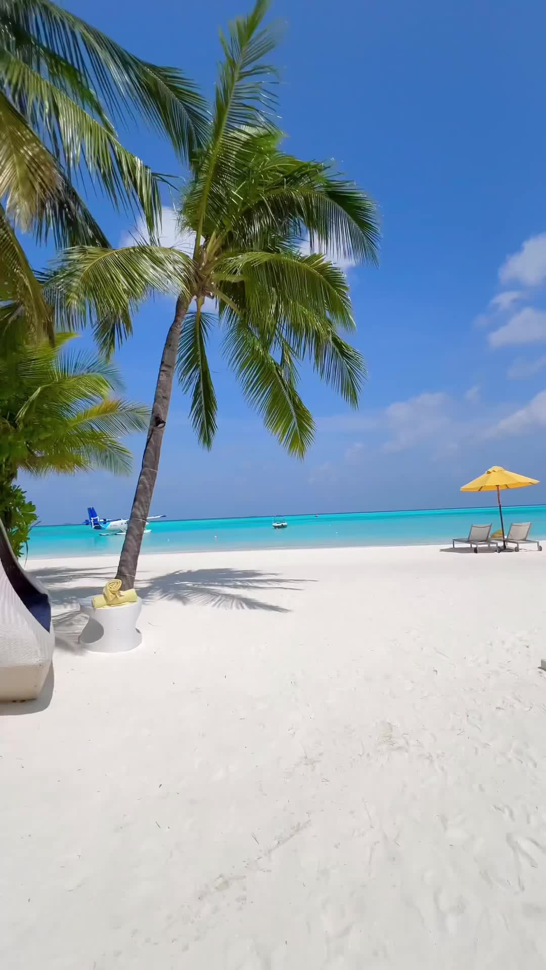 Тур на Мальдивы. Осенние Мальдивы через Москву: из Калининграда в сентябре–ноябре - Мальдивы - 01.09.2026 - 30.11.2026