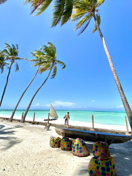 Мечта Занзибара: Летний Вояж из Москвы и Калининграда! - Танзания