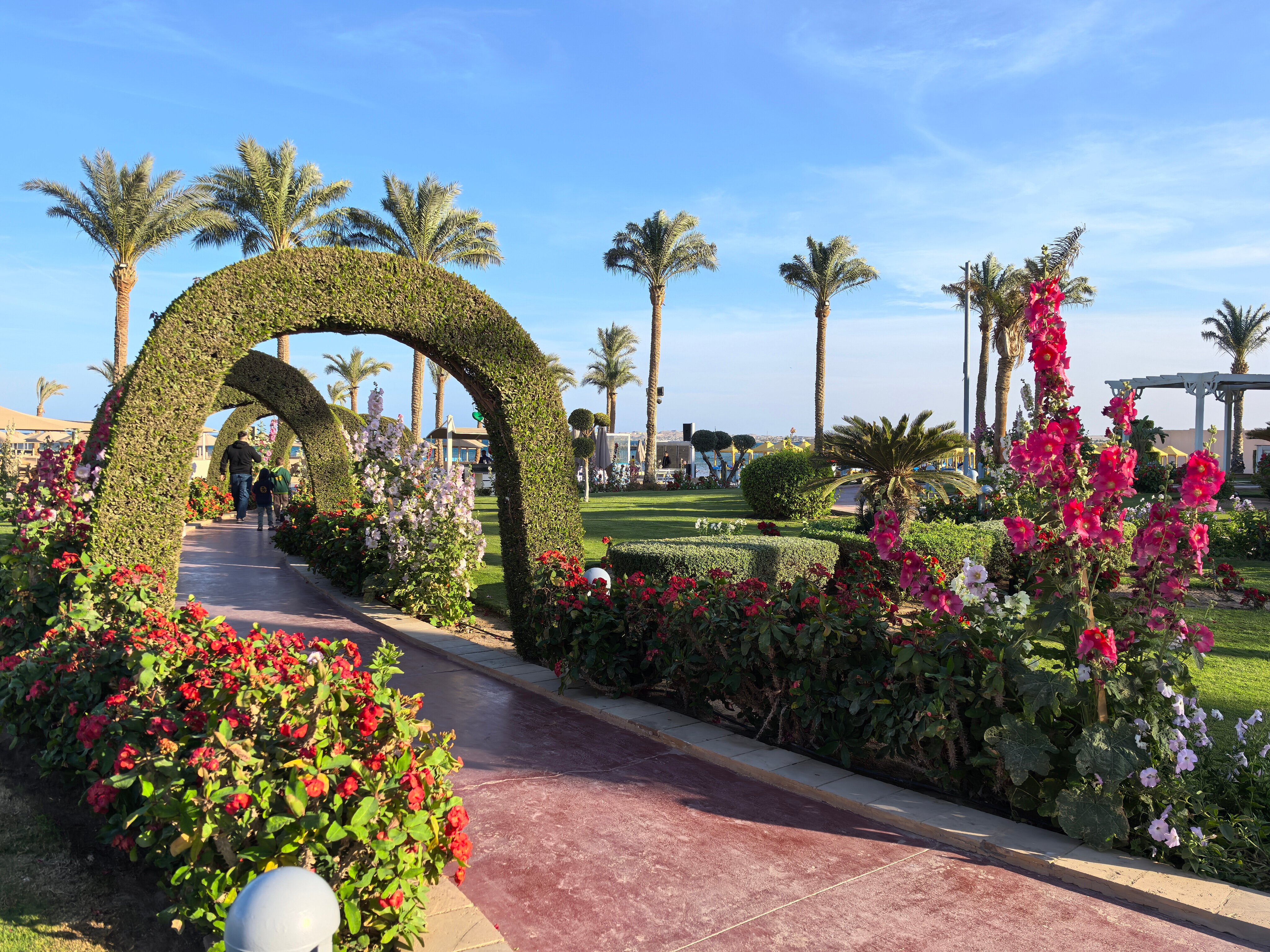 Тур в Египет. Хургада: Весенний Блеск — Летай из Калининграда! - Египет - 01.04.2026 - 31.05.2026