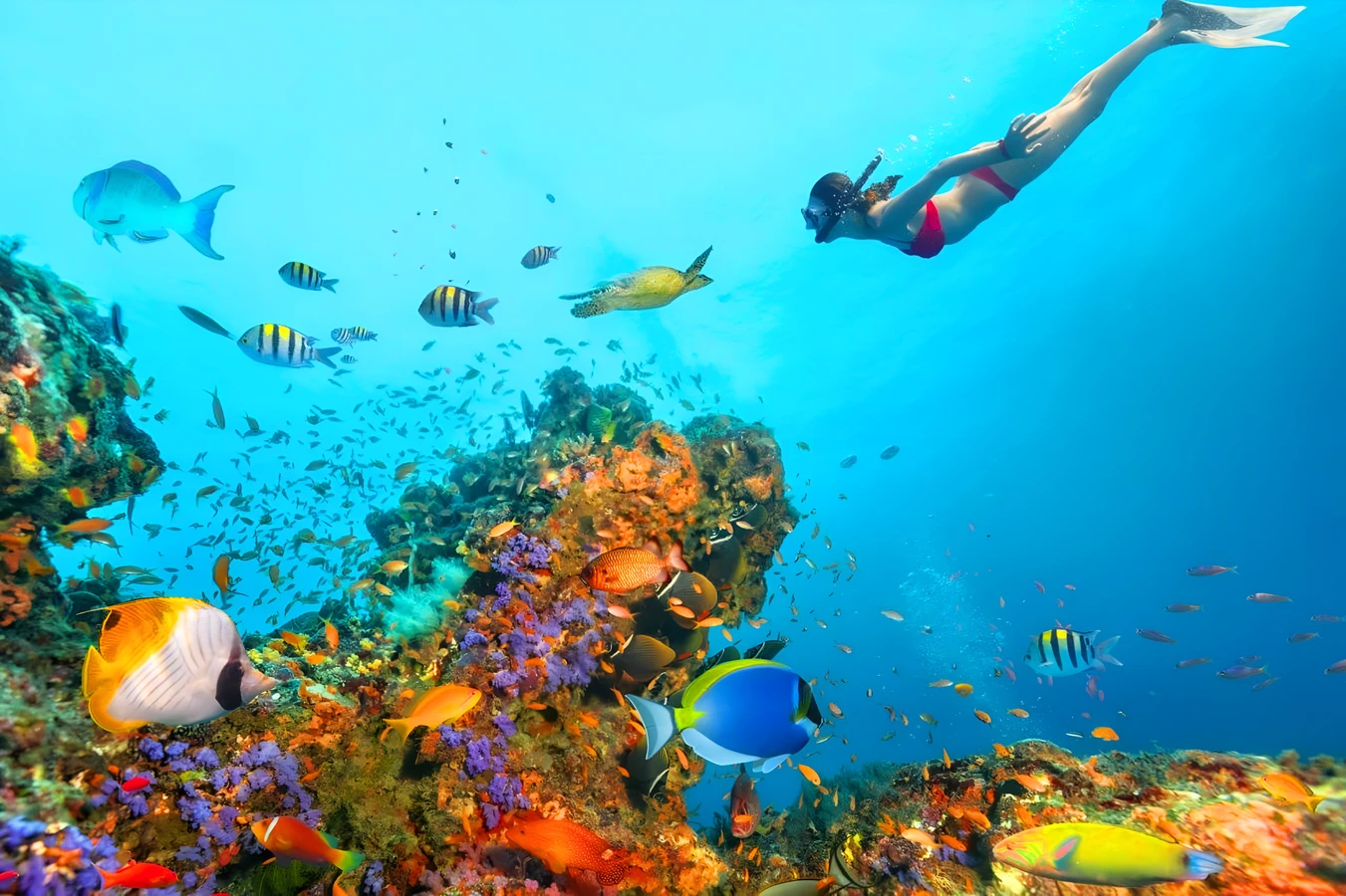 Тур в Египет. Летний Шарм: Спеши, цены растут! - Египет - 01.09.2026 - 30.09.2026