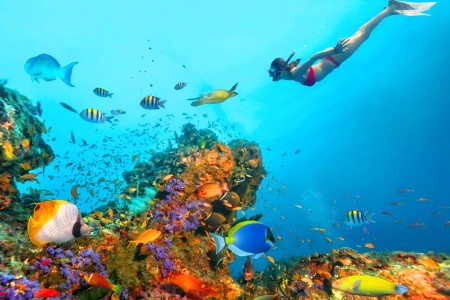 Летний Шарм: Спеши, цены растут! - Египет