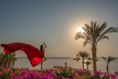 Октябрьское Вдохновение: Шарм для Творческих Натур - Египет